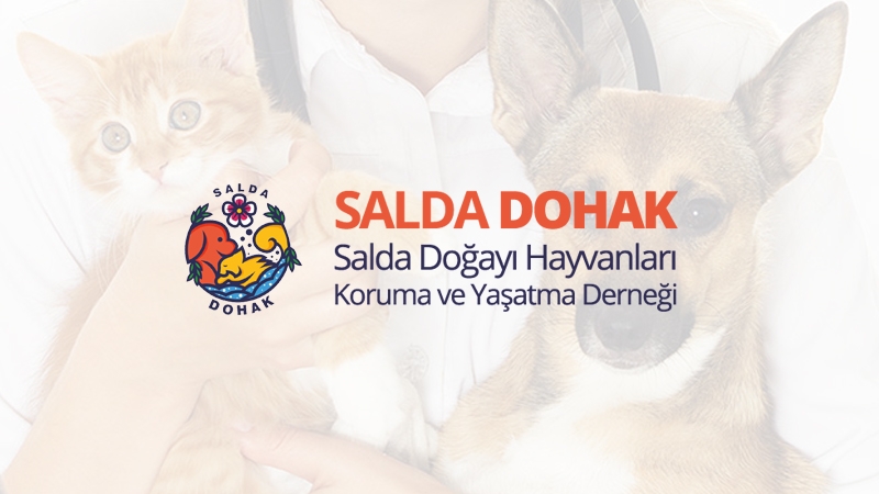 DOHAK | Salda Doğayı Hayvanları Koruma ve Yaşatma Derneği