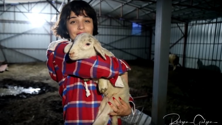 Gonca Vuslateri ve Rahşan Gülşan ile sokak hayvanlarına yardım yolculuğu.