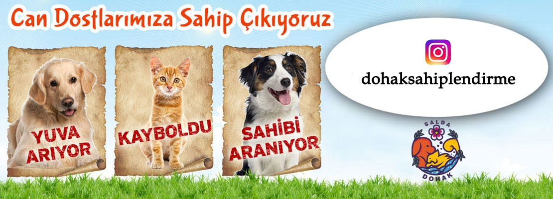 SAHİPLENDİRME