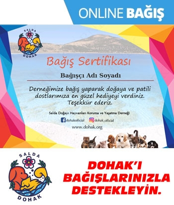 Dohak'ı Bağışlarınızla Destekleyin!